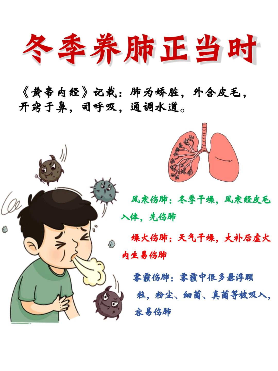 养肺别犹豫丨槲皮素居然是内服养肺王❗