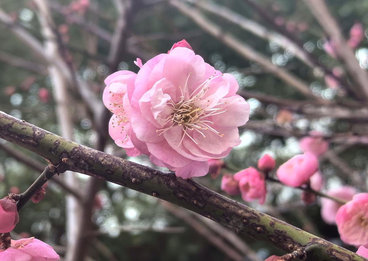【热评】私信辱骂他人是要法律责任的
工作人员退款脏衣服骂卖家 单位通报

山东某