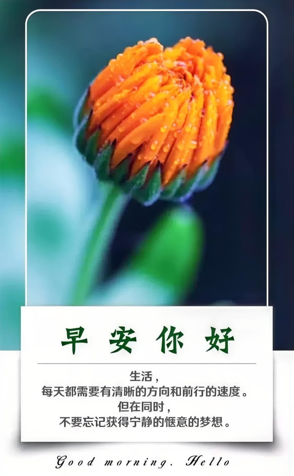 晨光温柔，日子晴朗，早安！
新的一天，心怀热爱与善良，认真生活。愿日日晴朗，事事