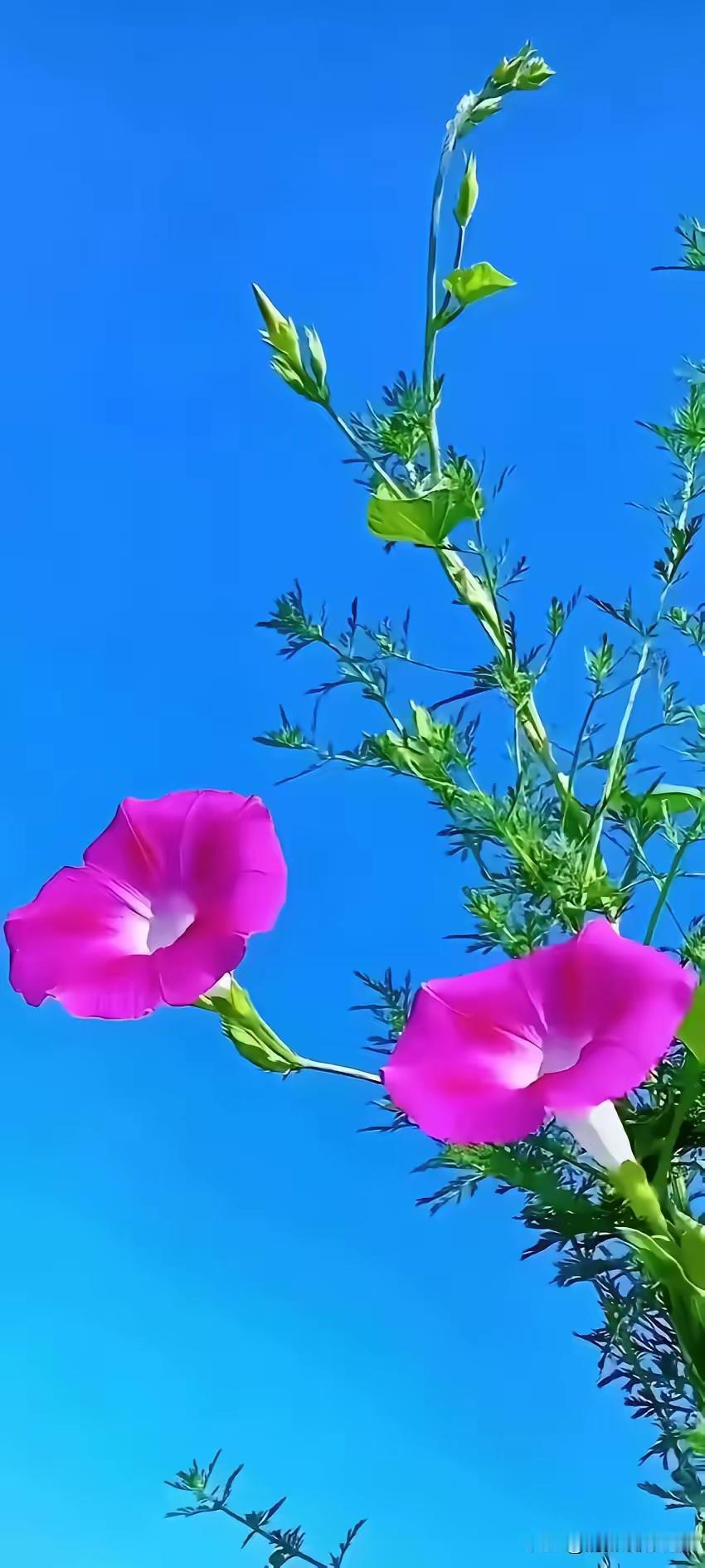 学校里效果最好的几种奖励办法
​​​1.超工作量奖（引导老师抢事做）
​​​​​