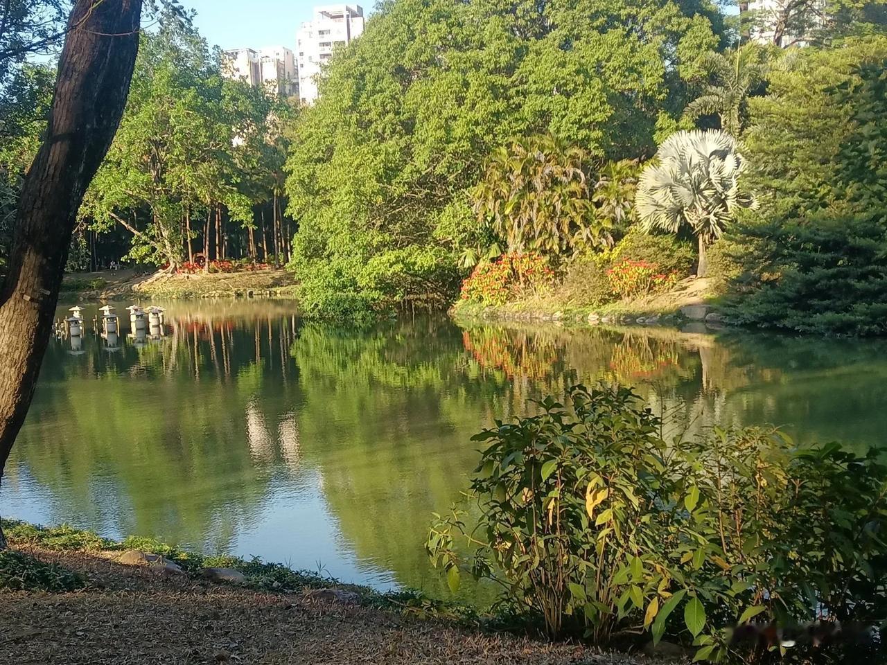 昨天和闺蜜通话，她说她儿子年后就要结婚。我说我的两个闺女都没有结婚的打算没有恋爱