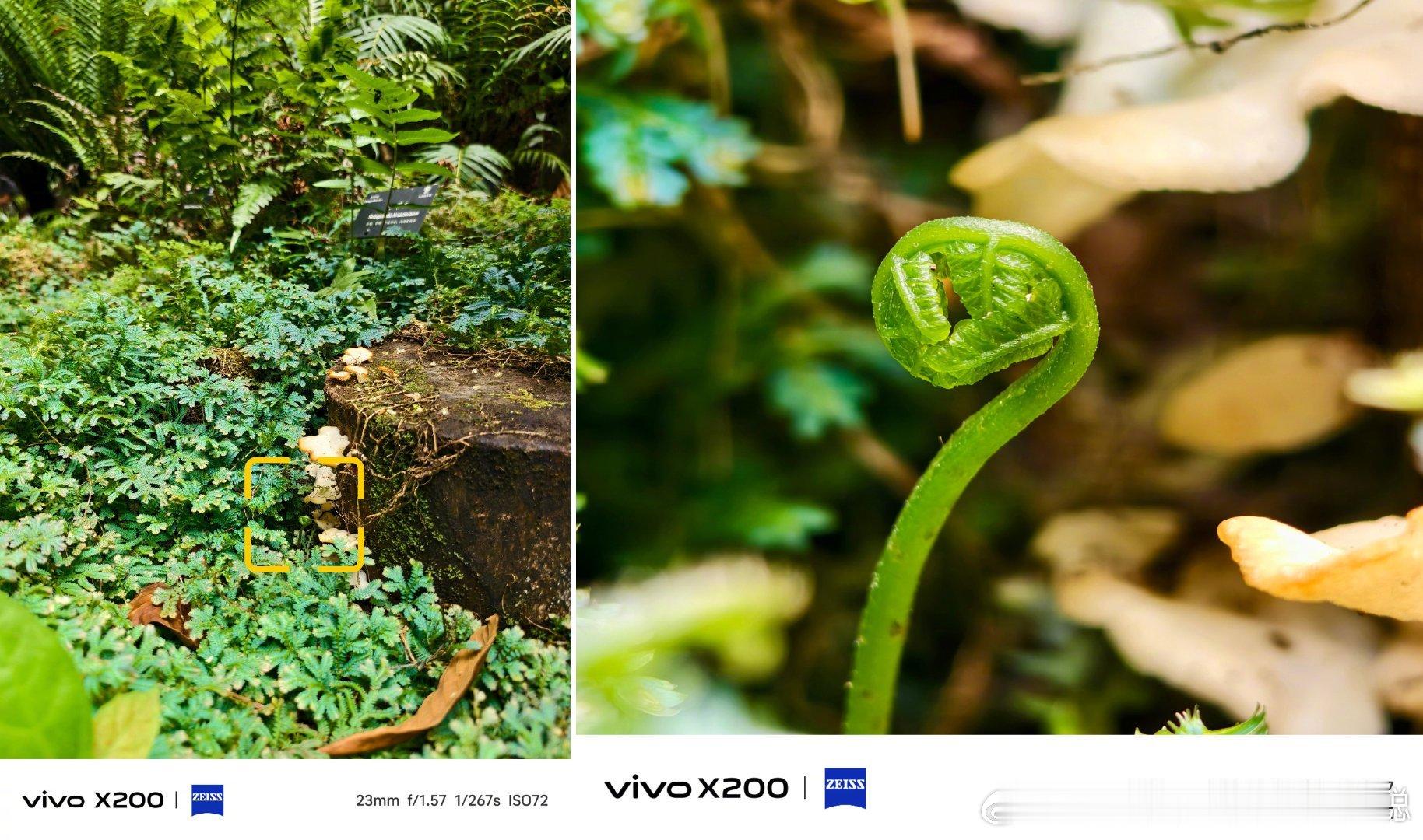 #vivo[超话]##交出你的X200长焦照片#  📱vivoX200系列绝美