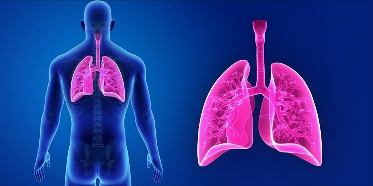 空姐发现肺部结节疑似肺癌，父亲担忧手术损害身体问能不能拖一拖
今天在老家临近的一