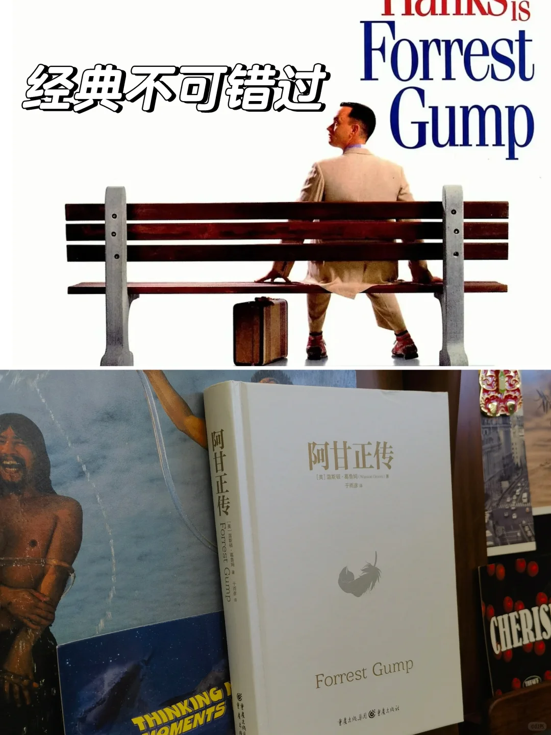 一盏人生道路上的明灯🔥经典怎能错过⁉️