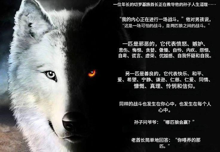 一个人一生中将要面对的最伟大的战斗，并非与他人对抗，而是与自己“低级自我”的阴影