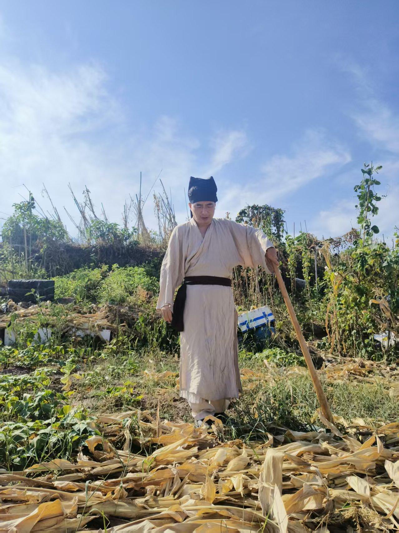 唐多令·夏夜山行
〔当代〕邹謇

凉露润阶沙。蝉声送月华。素光浮、石岸烟斜。荷叶