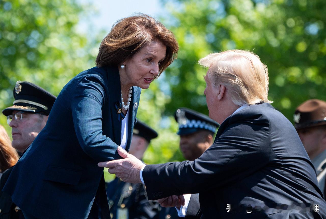 当地时间11月6日，85岁的美国前众议院议长南希·佩洛西正式宣布，将不再参与20