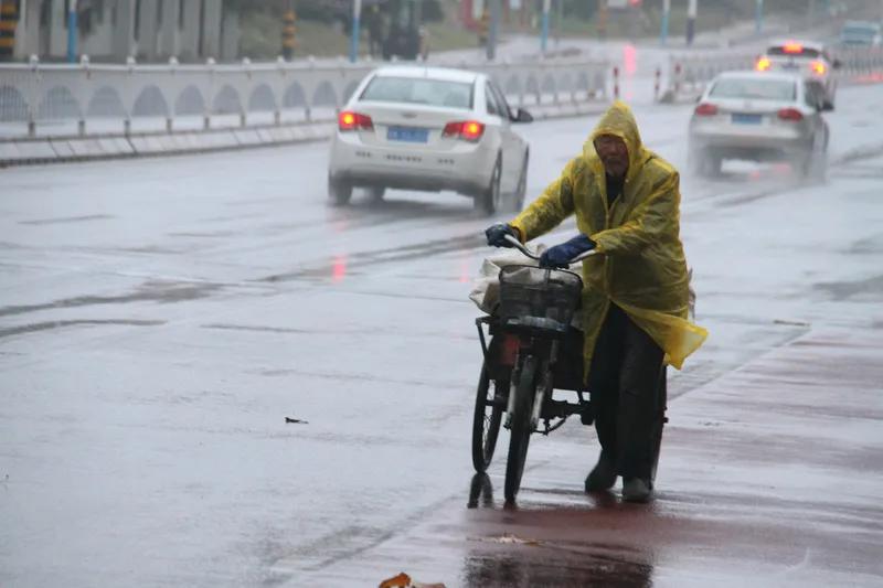 《冬雨》
夜窗滴沥透衾寒，
晓梦惊来雨里看。
枝上西风啼鸟乱，
古庙老僧跪参禅。