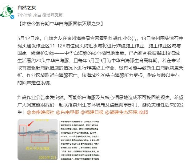 #一水域炸礁施工被指或伤害中华白海豚#【#当地回应水域炸礁施工或伤害中华白海豚#