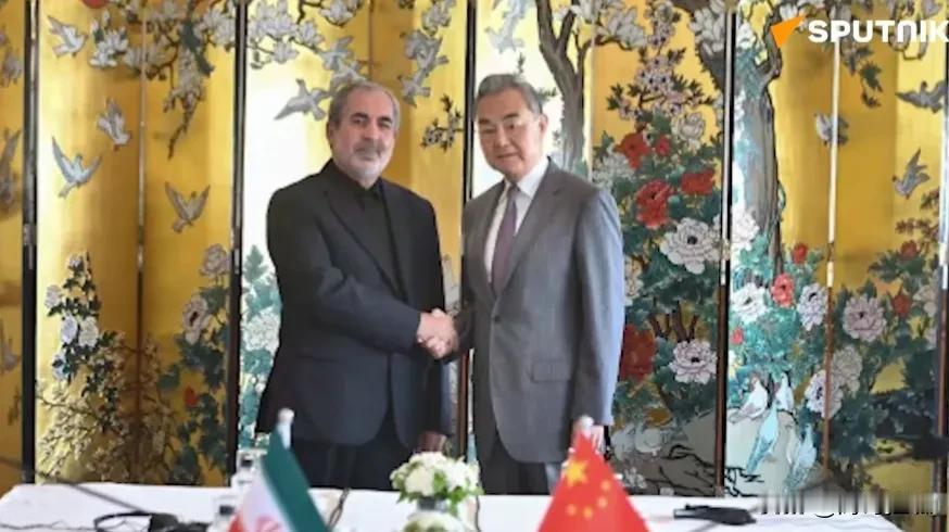 王毅新德里密会伊朗高官，伊美谅解备忘录这事，中国先一步知道了

俄罗斯卫星通讯社