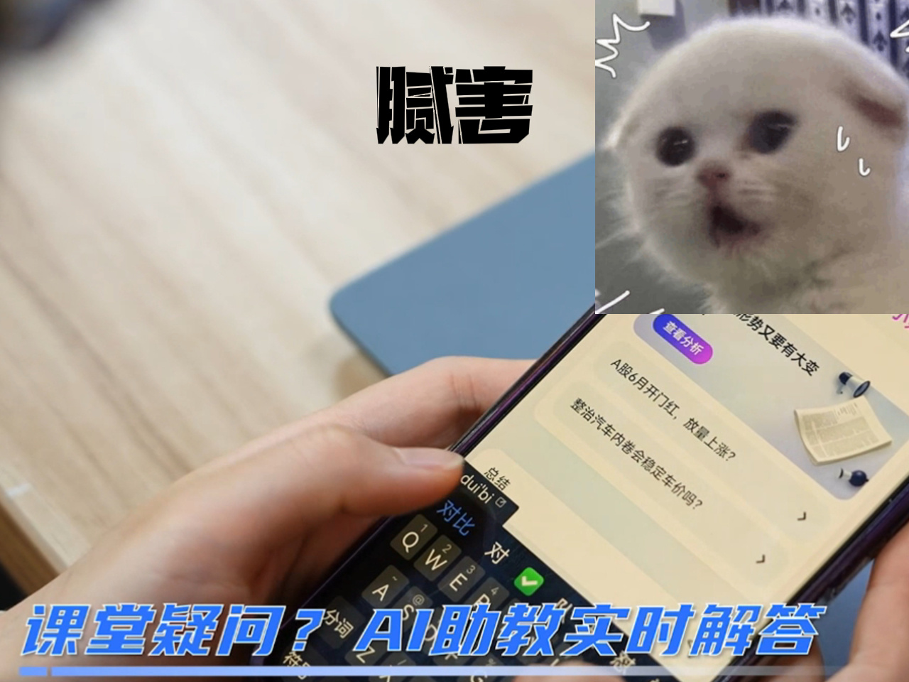 建议要有个高质量的学霸搭子找对谁说文科生学不会理财？我的学霸搭子蚂 小财用大白话