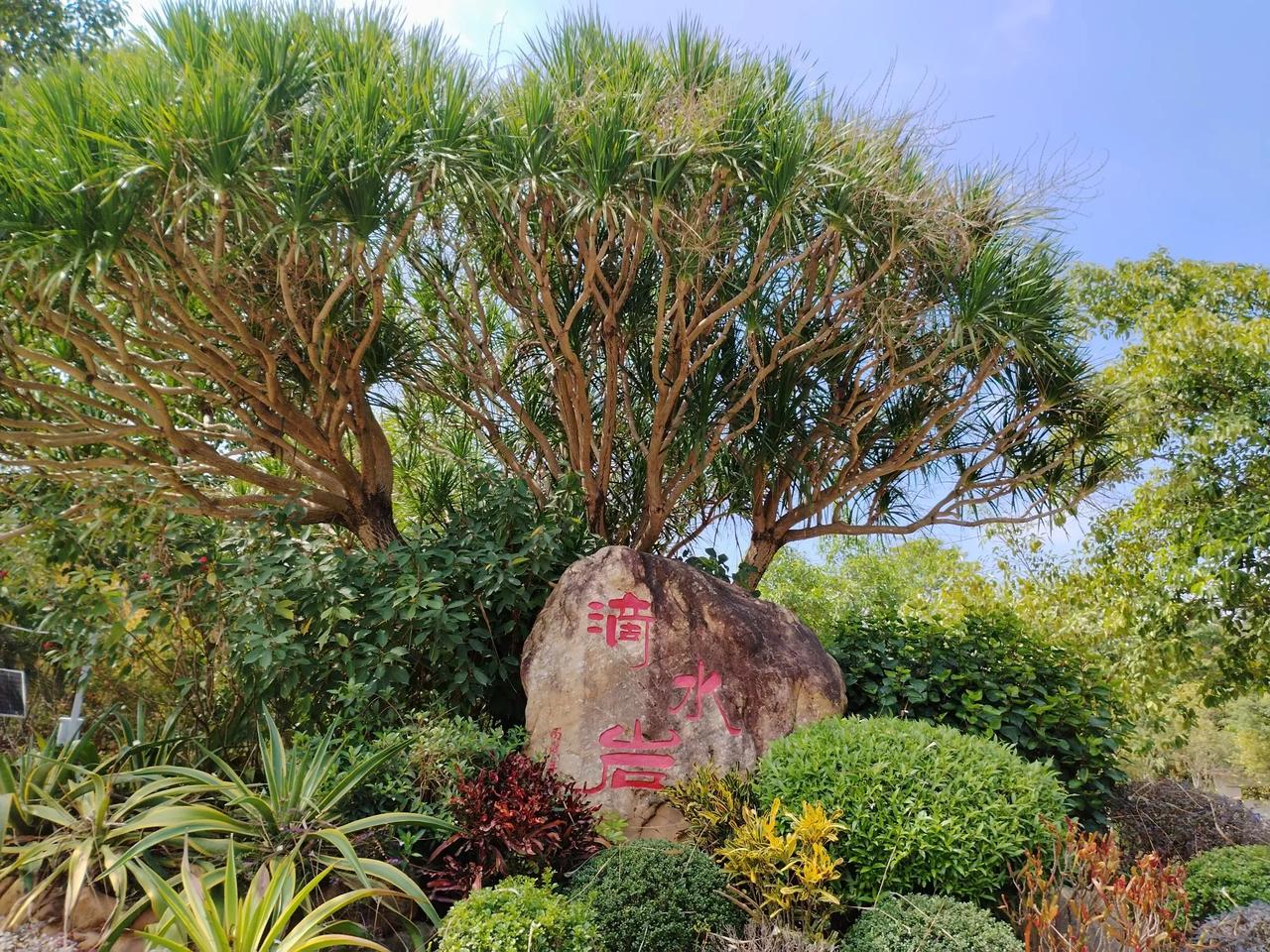 游番禺滴水岩
久未休闲爱，今来滴水岩。
神仙床上憩，青萝嶂下杉。
荒径野人语，东