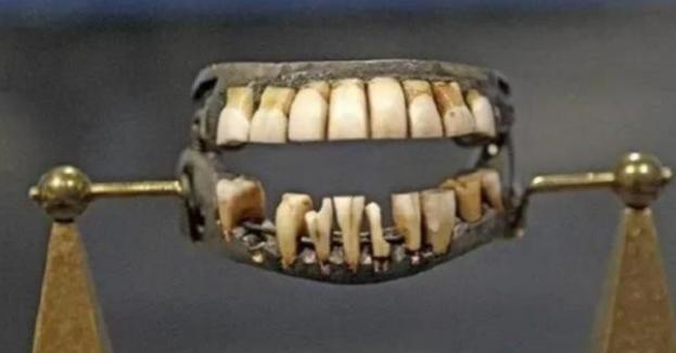 1784年，52岁的华盛顿牙齿早就已经掉光了，当时可没有所谓的假牙，于是华盛顿便