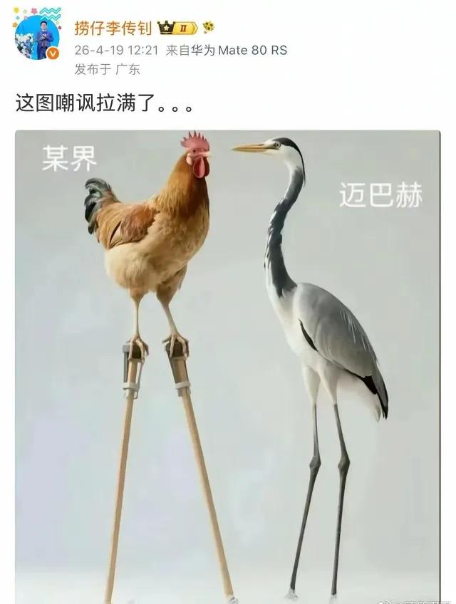 豆包的嘴是真毒啊！