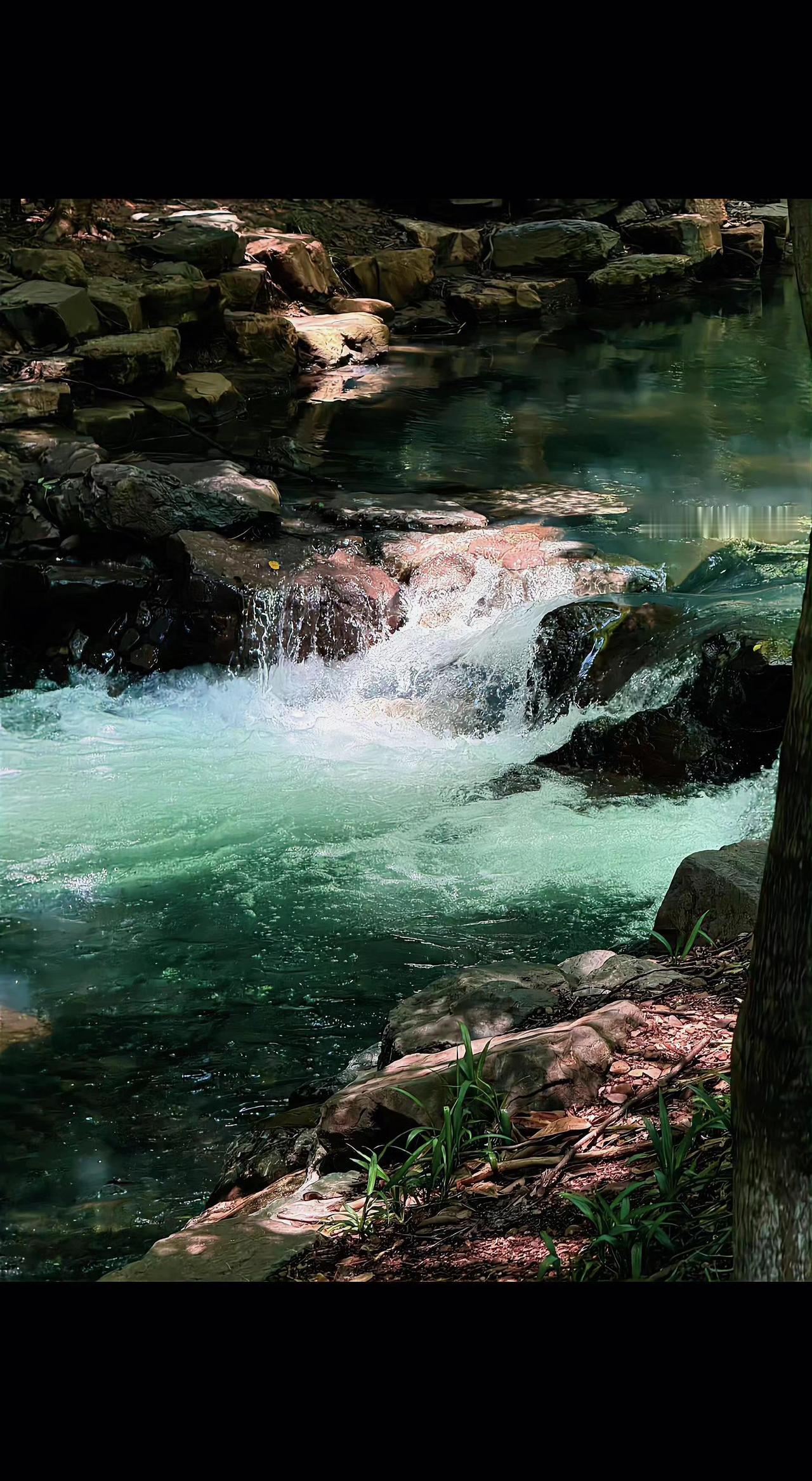 🌊水流撞碎成银箔，石头在阳光里打盹✨
山的心事，都随这汪碧潭沉淀了🍃