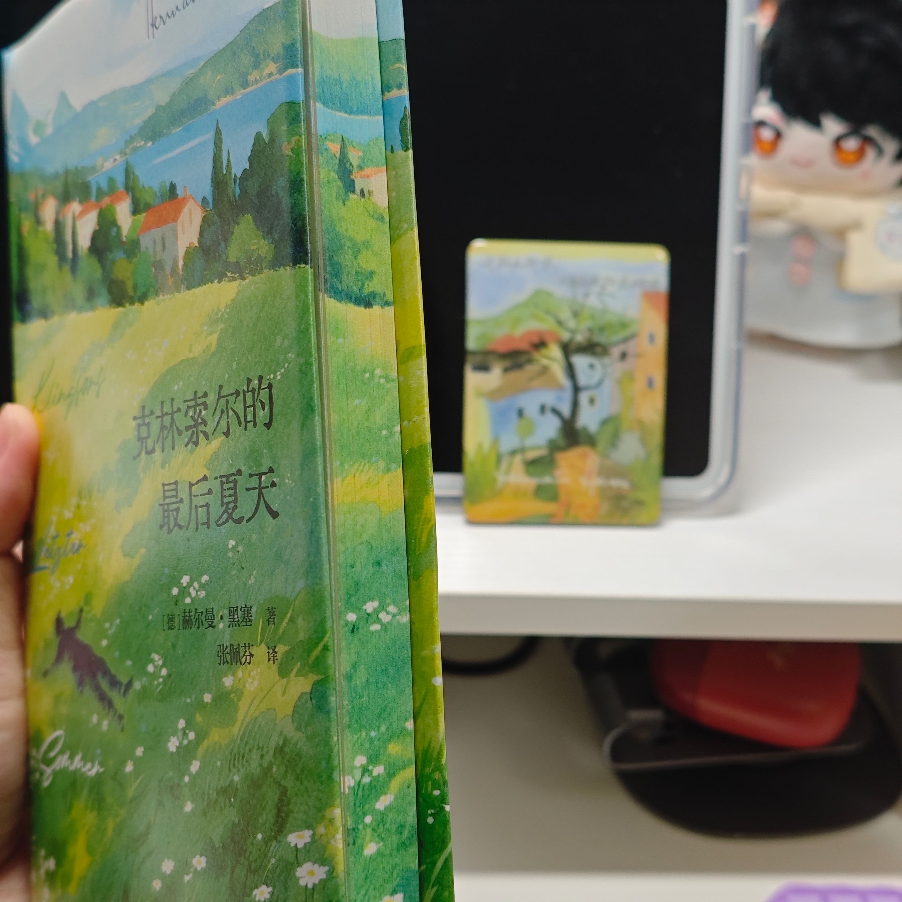 新买的两本书到了然后看了一眼油炸绿番茄的人物关系图，悲哀地发现我已经忘记了好多角