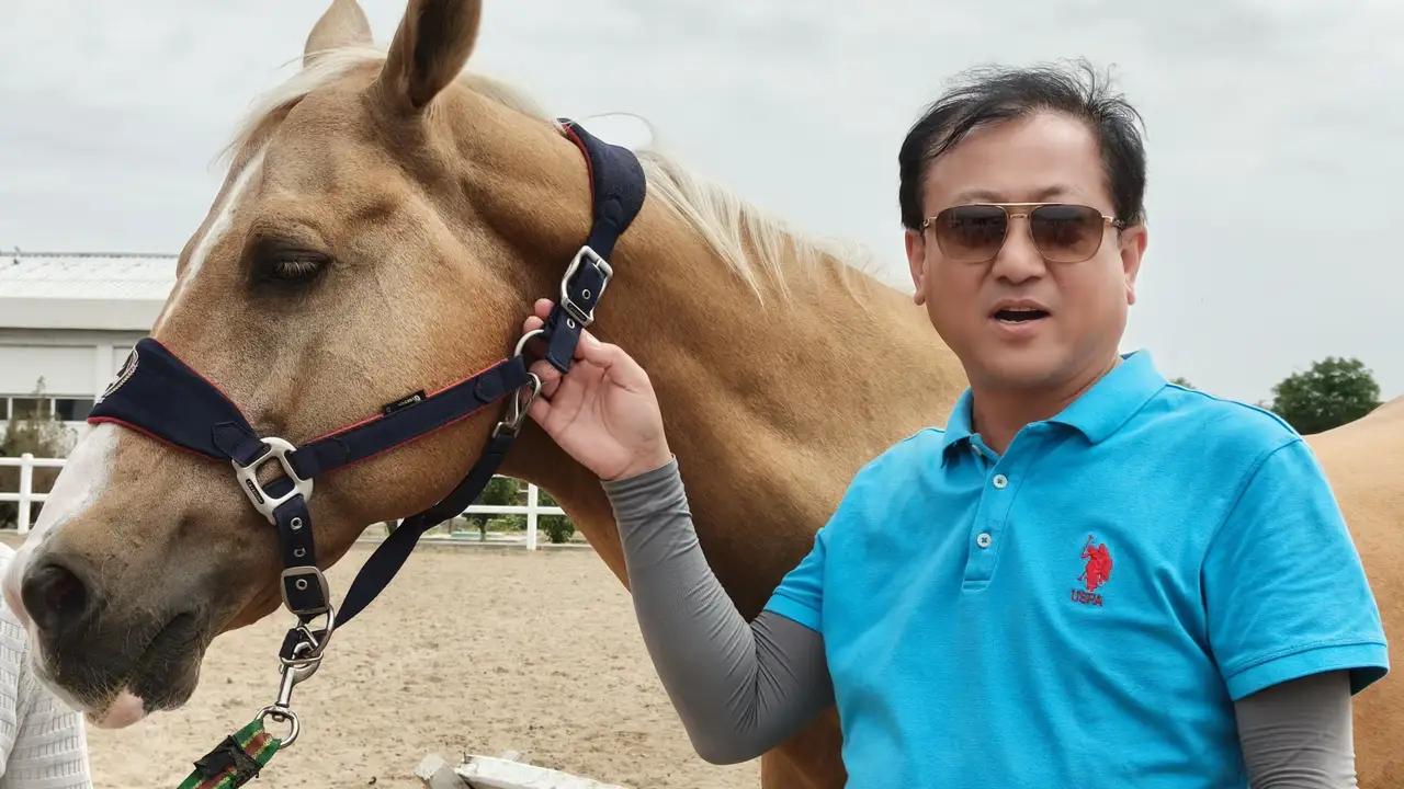 马年又让我想起汗血宝马

       今年是马年，我又想起我去年6月到中亚五国