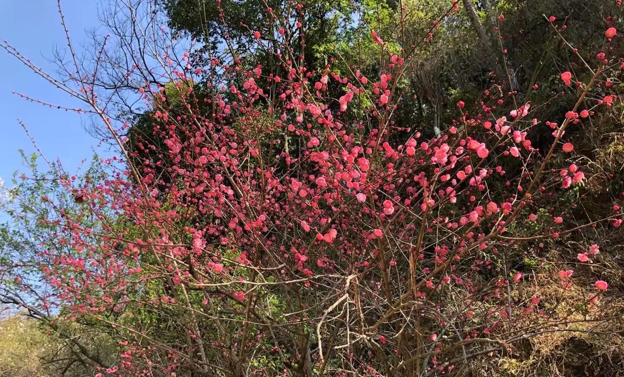 说的真的很全面[玫瑰]！新年快乐呀，祝你财源广进[赞]，新的一年在股市里得心应手