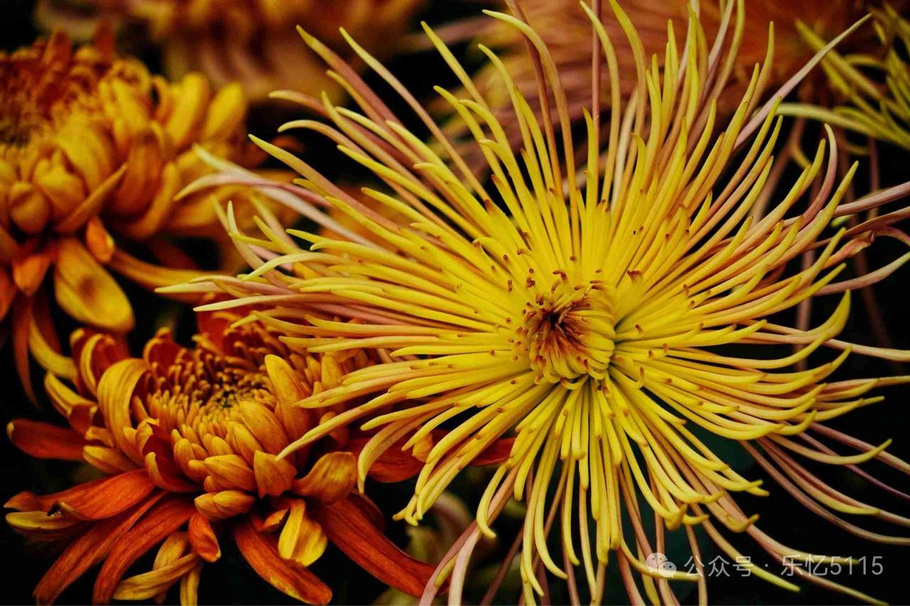 我的今日状态：😁轻松愉快
我这里的天气：☀️晴天