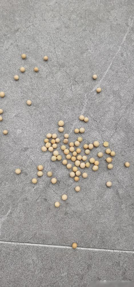 看完这俩50+大哥大姐的事，我脑门子直冒冷汗！前几天有位大姐捡100颗黄豆不弯腰