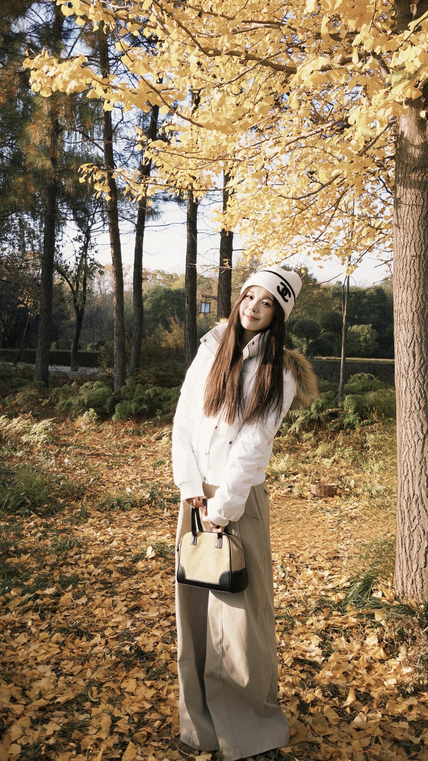 在这个落叶像雪的季节