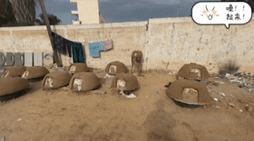 封山育林重要性。以色列封锁，缺电缺气，加沙人民开始使用柴做饭，一大群人人人出力作