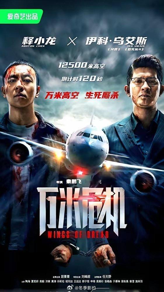 释小龙这次真捅破天了，一部网大，竟把赵文卓、刘德华的同类片子全干趴下了。8000