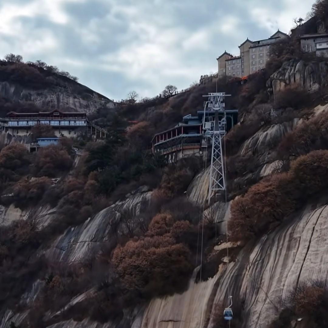 山雨欲来风满楼，谁都想要一个思想搭子，无论这个人是好人还是坏人，他们都渴望有一个