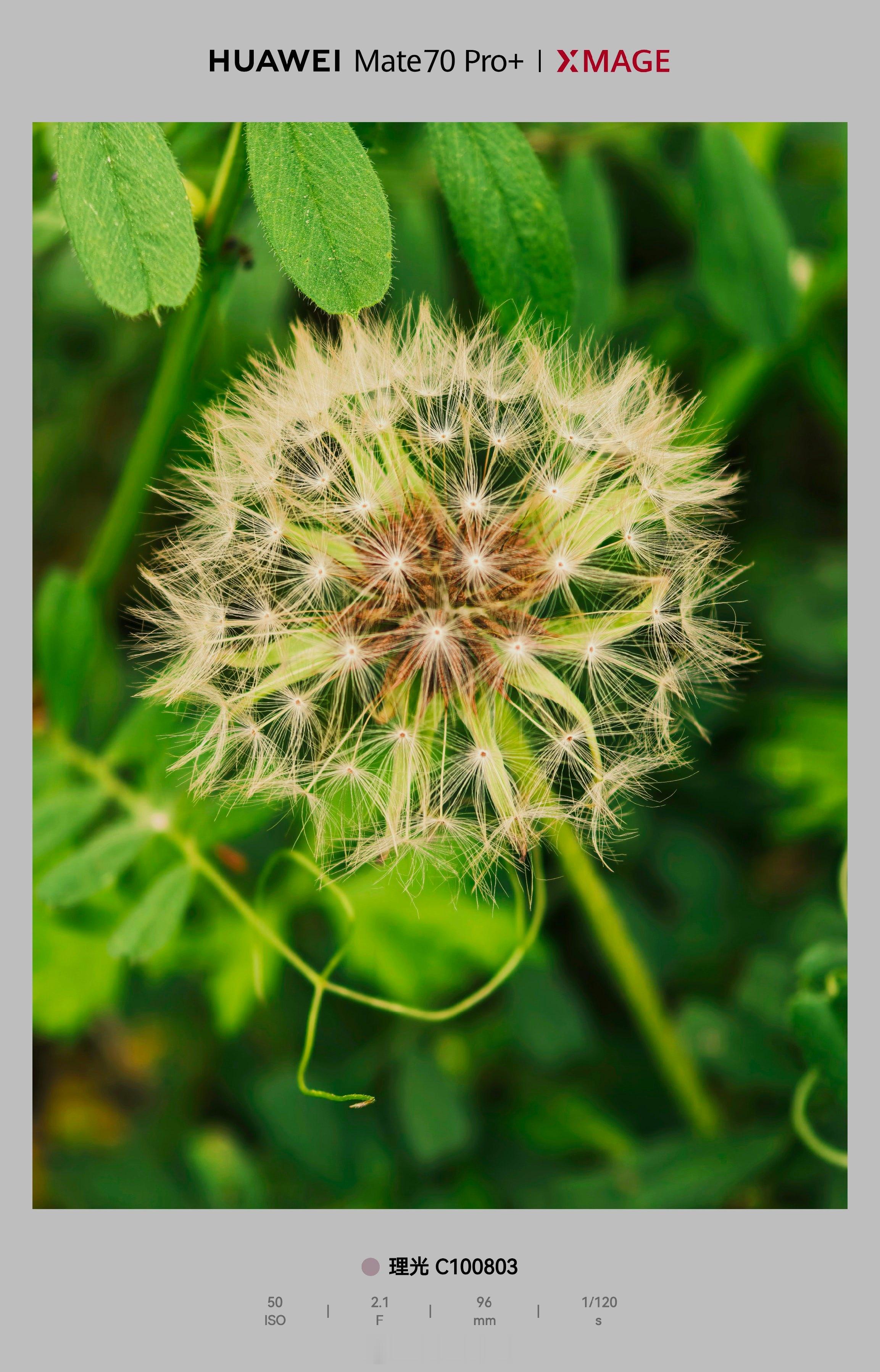 早☀️今天绝对没人比我更早今天OPPO Find X9 Ultra外观解禁大家看