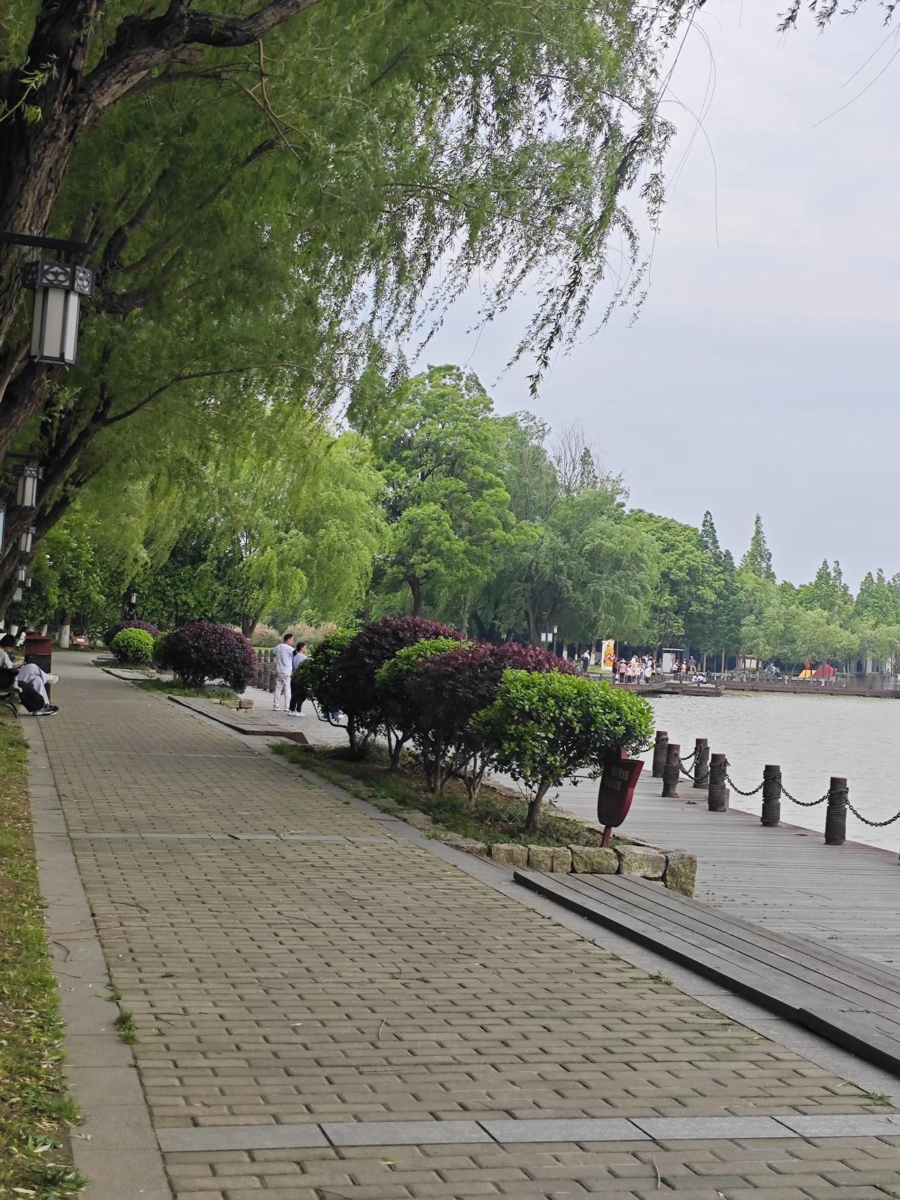 中小学教师现状
心里扛着满心焦虑，
家校沟通如履薄冰，
职称考核层层内卷。