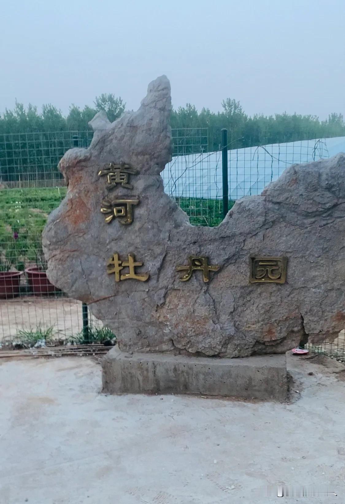 我新发布的内容被官方推荐啦！👍你也快来发布一条吧！带