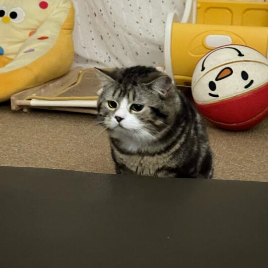 好好的小朋友怎么不长身高…全长体重啦！