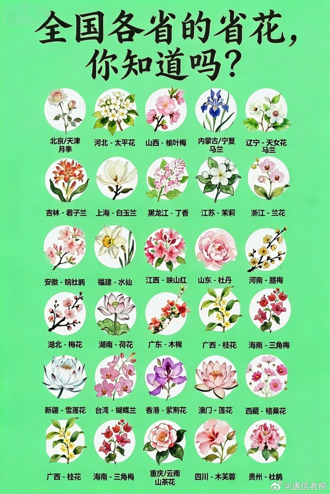 全国各省的省花是什么，你知道吗？收藏学习 