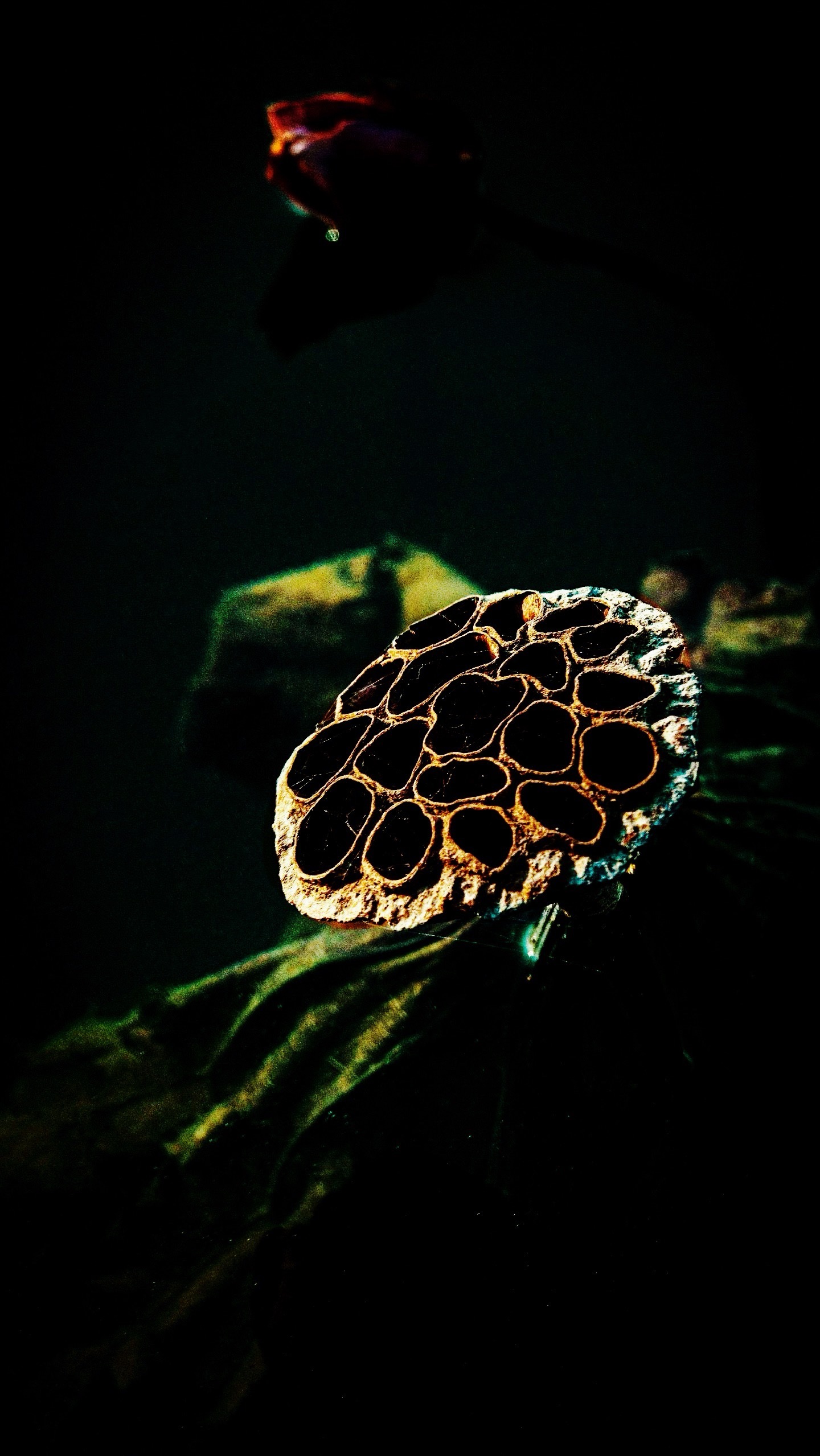 我没料到大家这么短视，晕死了。睡一觉睡没了。 