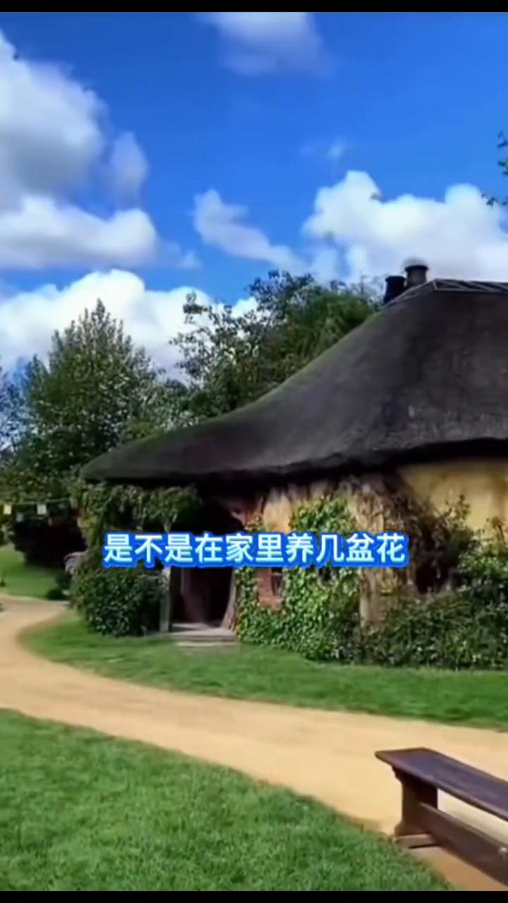 今天说一下命里缺木怎么补。总有命主问我：八字缺木是不是在家里养几盆花，手上戴几串