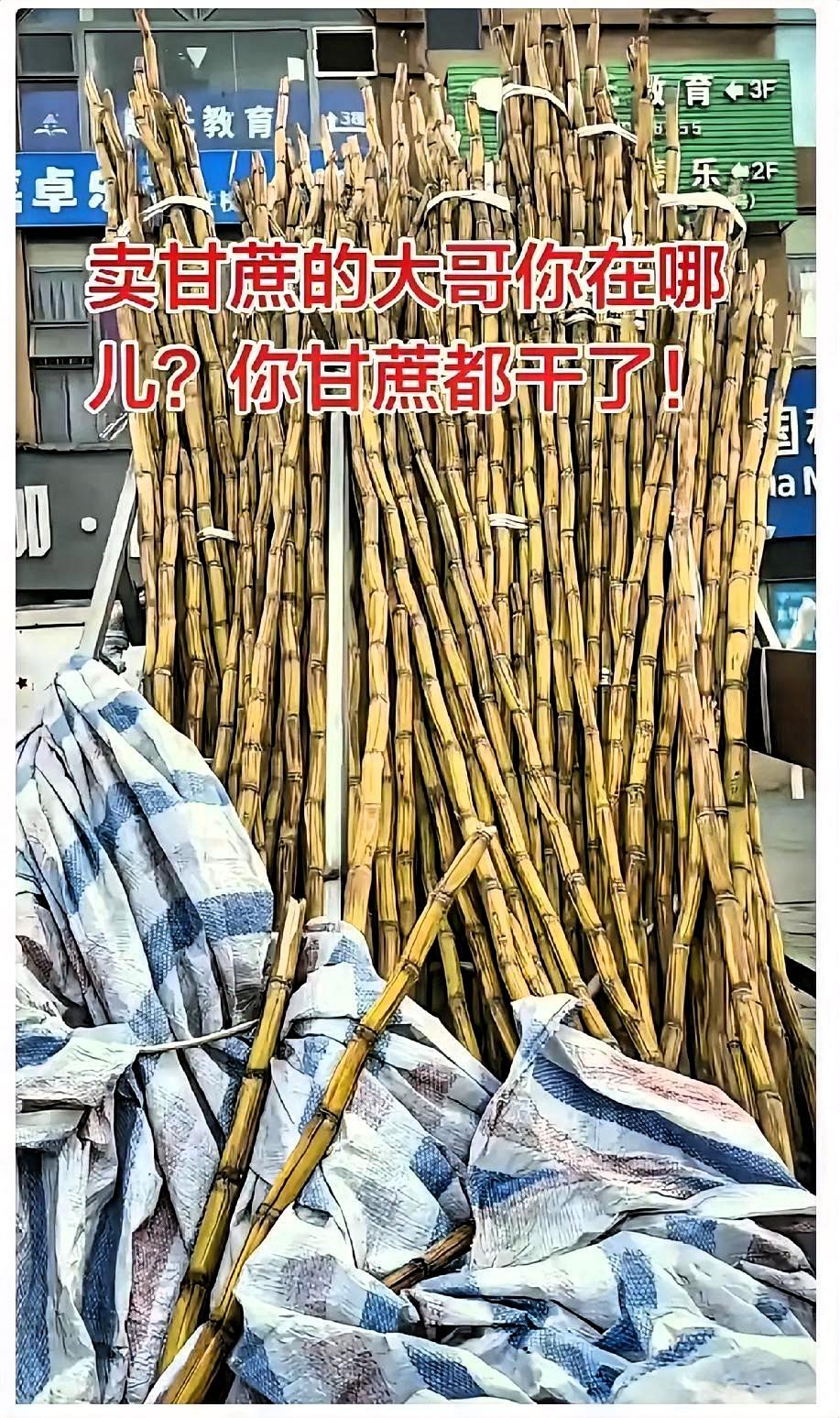 太暖心了！
四川一男子发现，楼下常年摆摊卖甘蔗的大哥，过完年就再也没出摊。路边三