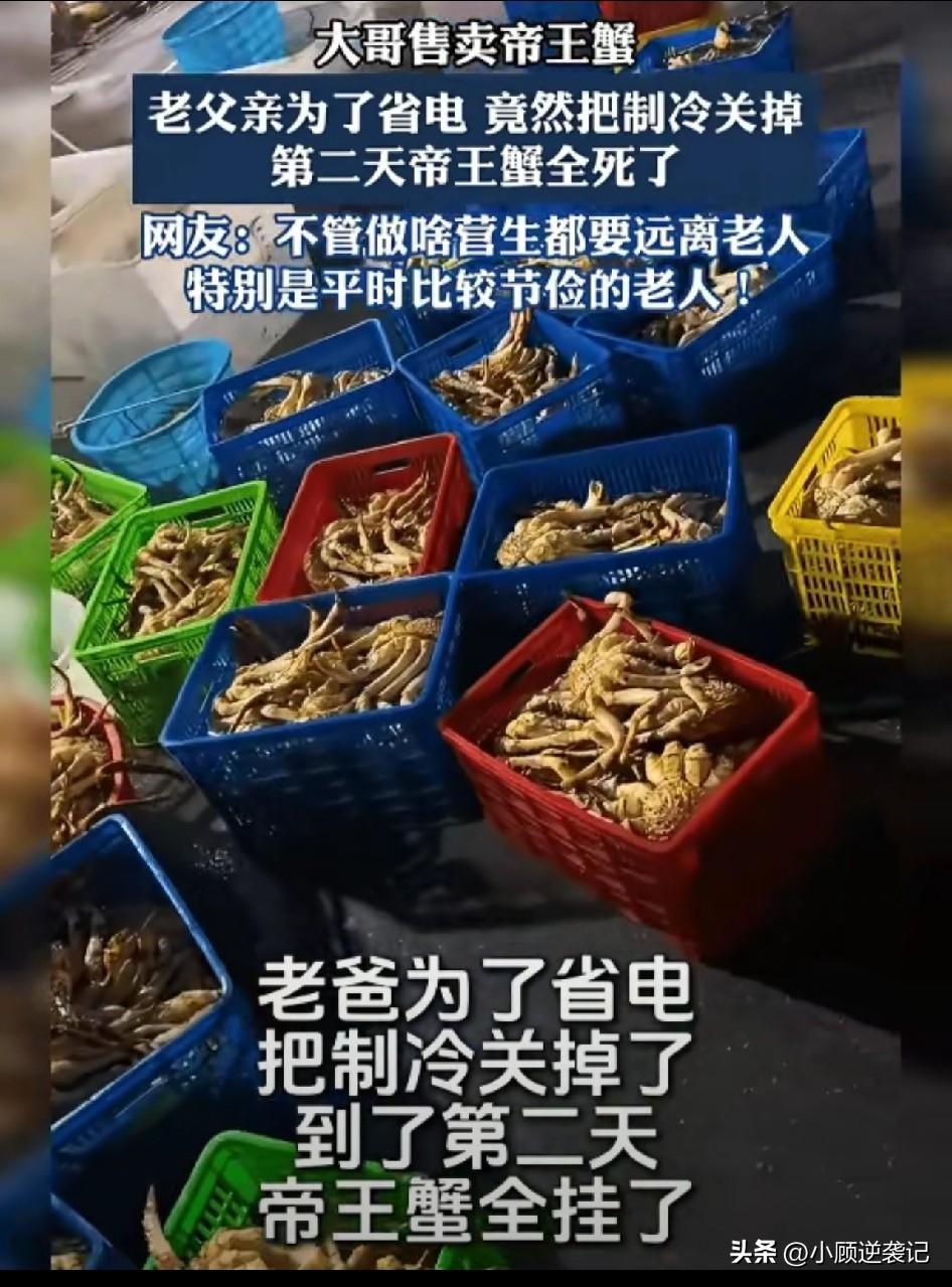 真是让人又心疼又无奈的一幕。大哥做水产生意，进了一批帝王蟹准备售卖，为了保证鲜活