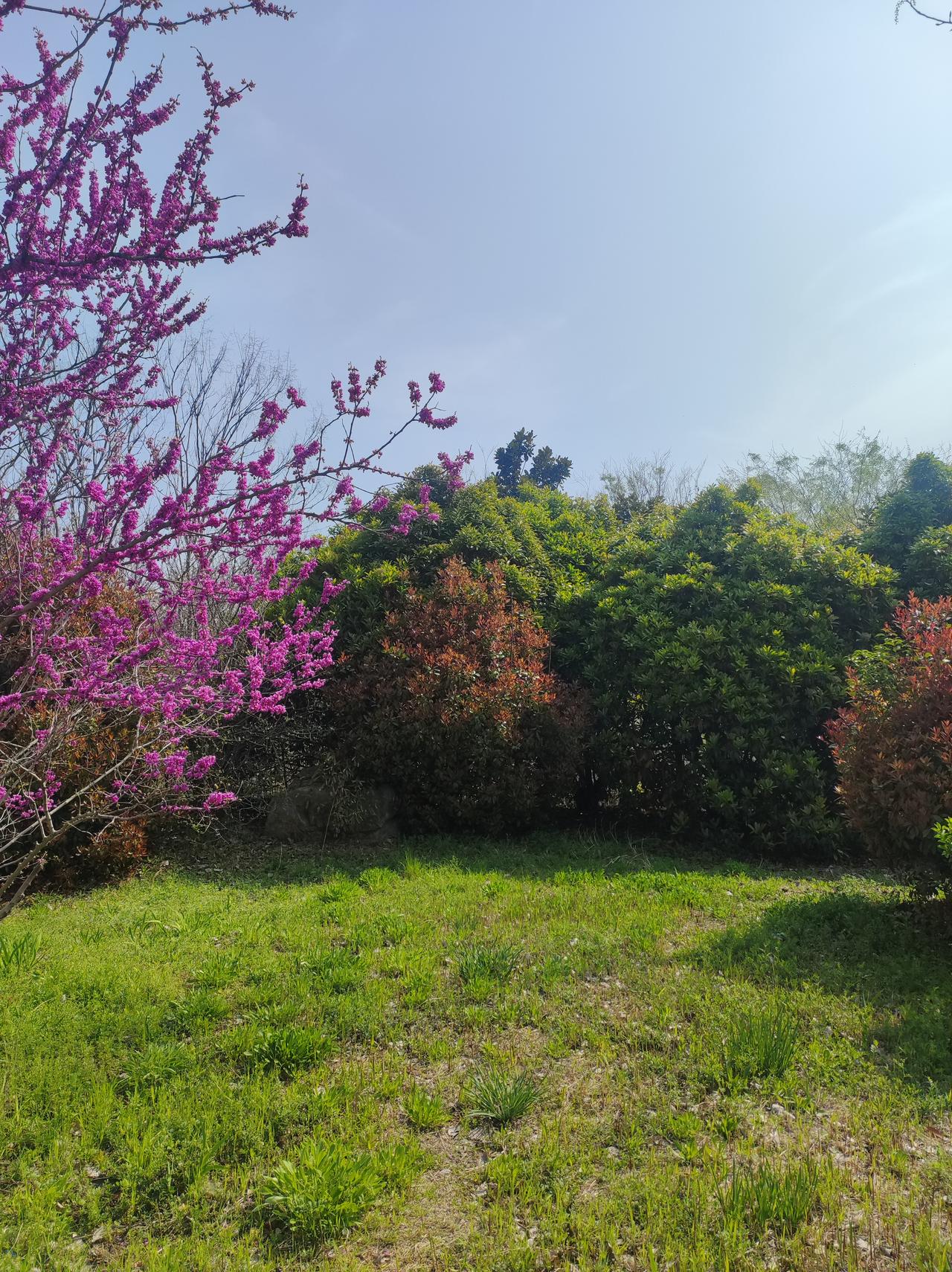 人和人相处，到底靠什么维系关系？
在这个金钱至上的社会，人和人之间到底靠什么维系