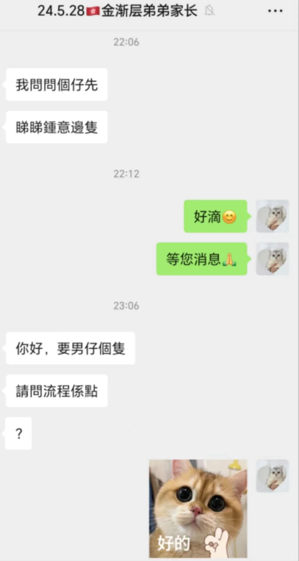 🇭🇰屋企有小孩不能養貓貓‼️❓❓