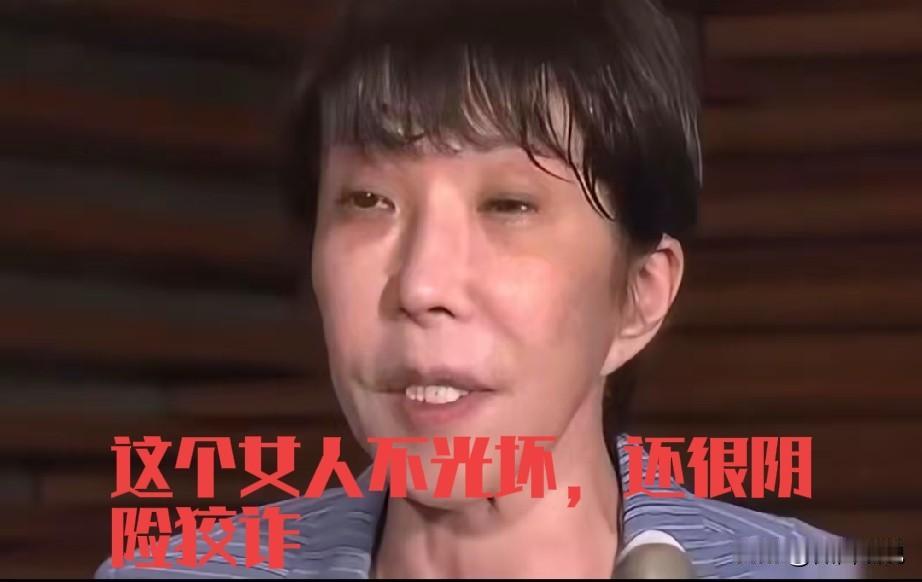 日本的动作不断，已不在是偷偷摸摸的小动作，而是在堂而皇之的国事访问中处处针对我们