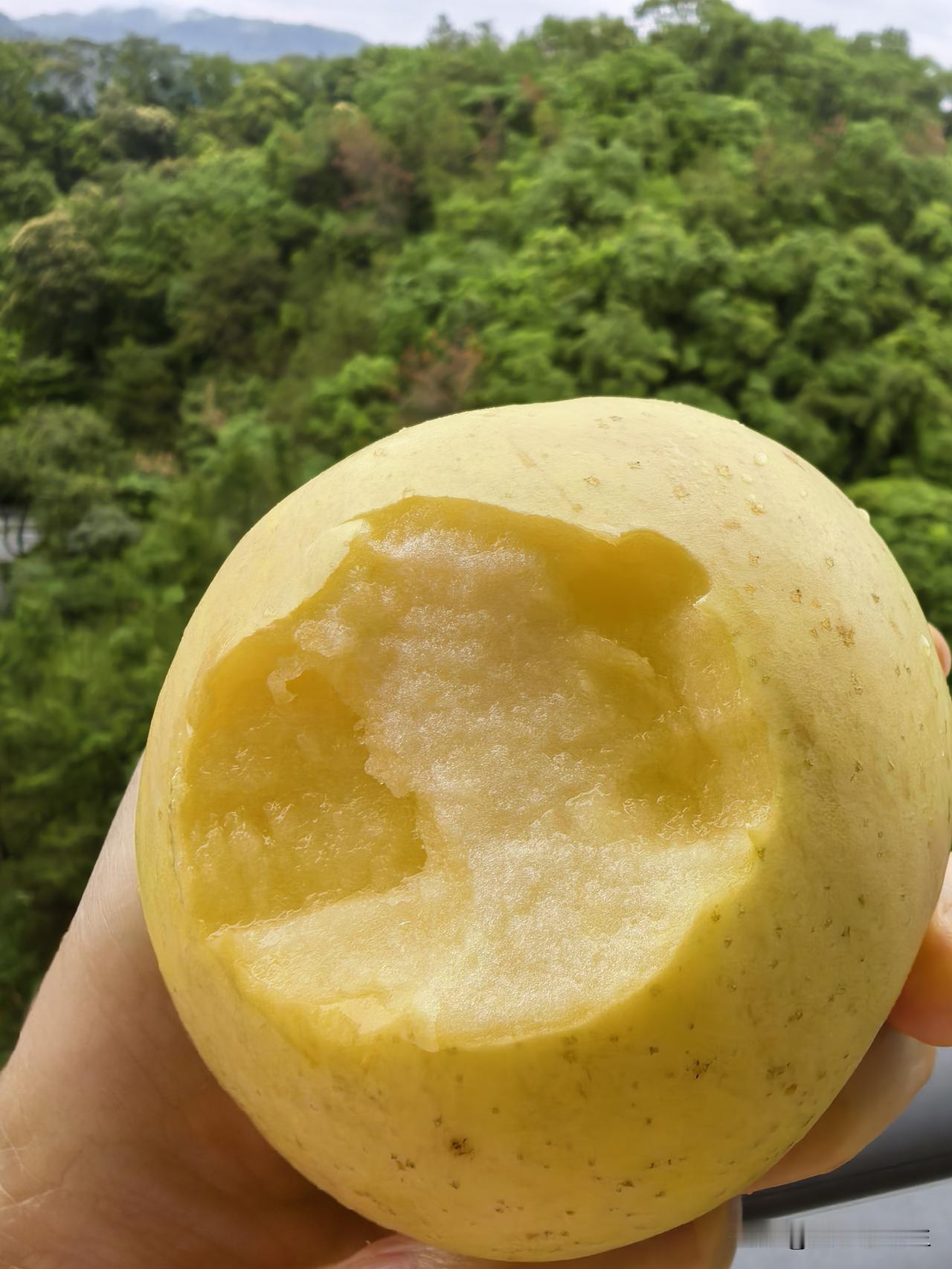 山东大苹果，颜值一般，内核超乎想象的给力。
够脆，够甜，够爆汁，够过瘾。一口气干