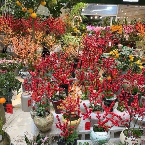 最近郑州出了件让车主们心都凉透的事儿——一家保时捷4S店突然人去楼空，展厅里的车