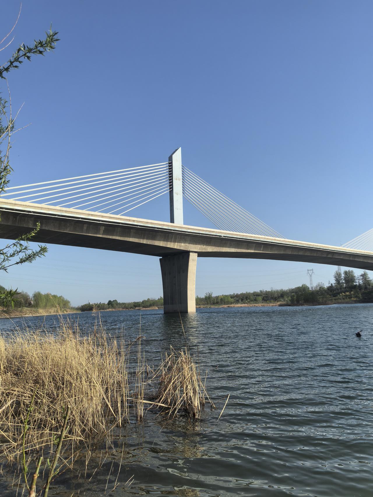 桥横野渡水，人在画中行。