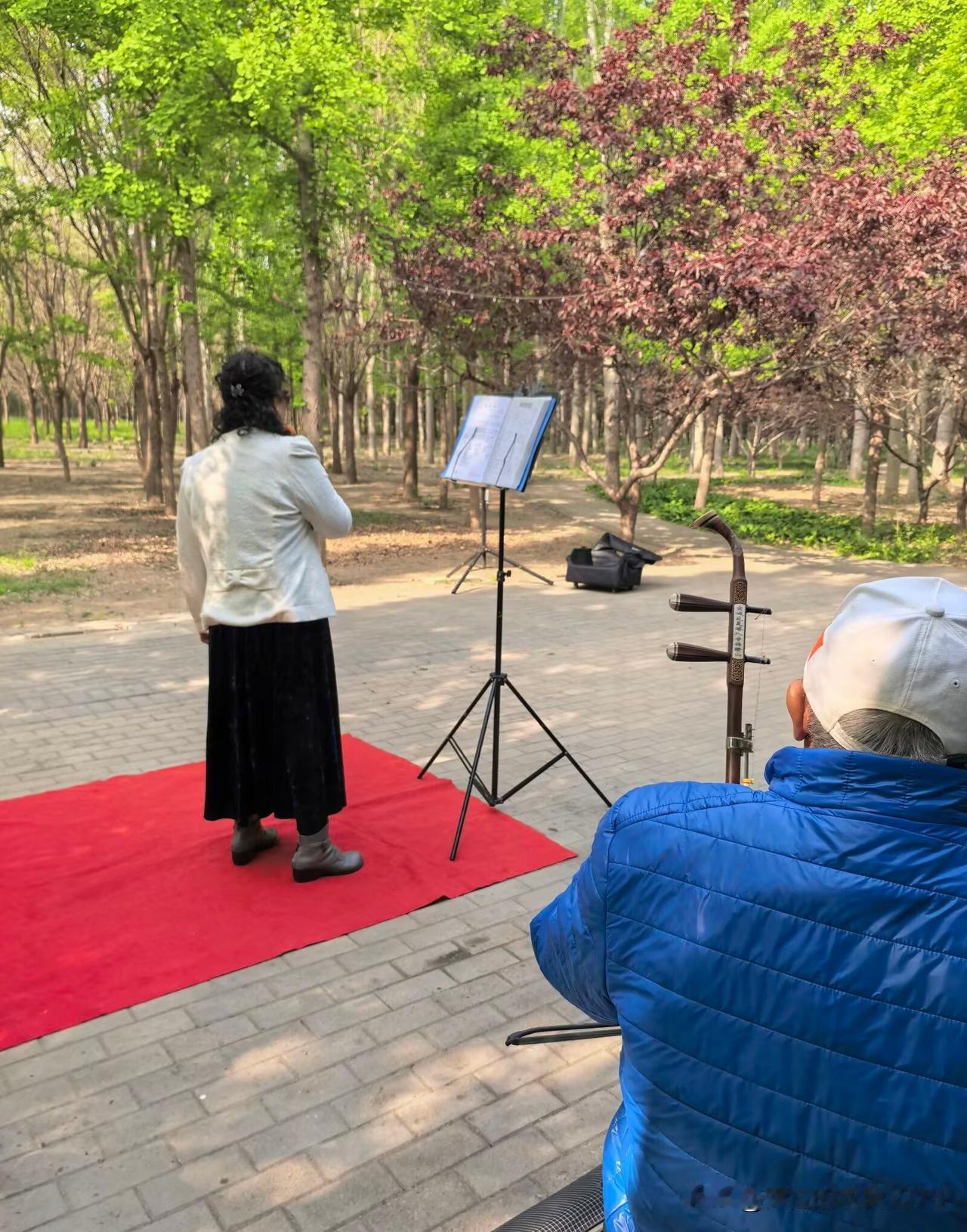 【临江仙·暮春合曲】

飞絮轻沾晴树，新阴浓覆长廊。
红毯初展唱声扬。
弦琴和晚