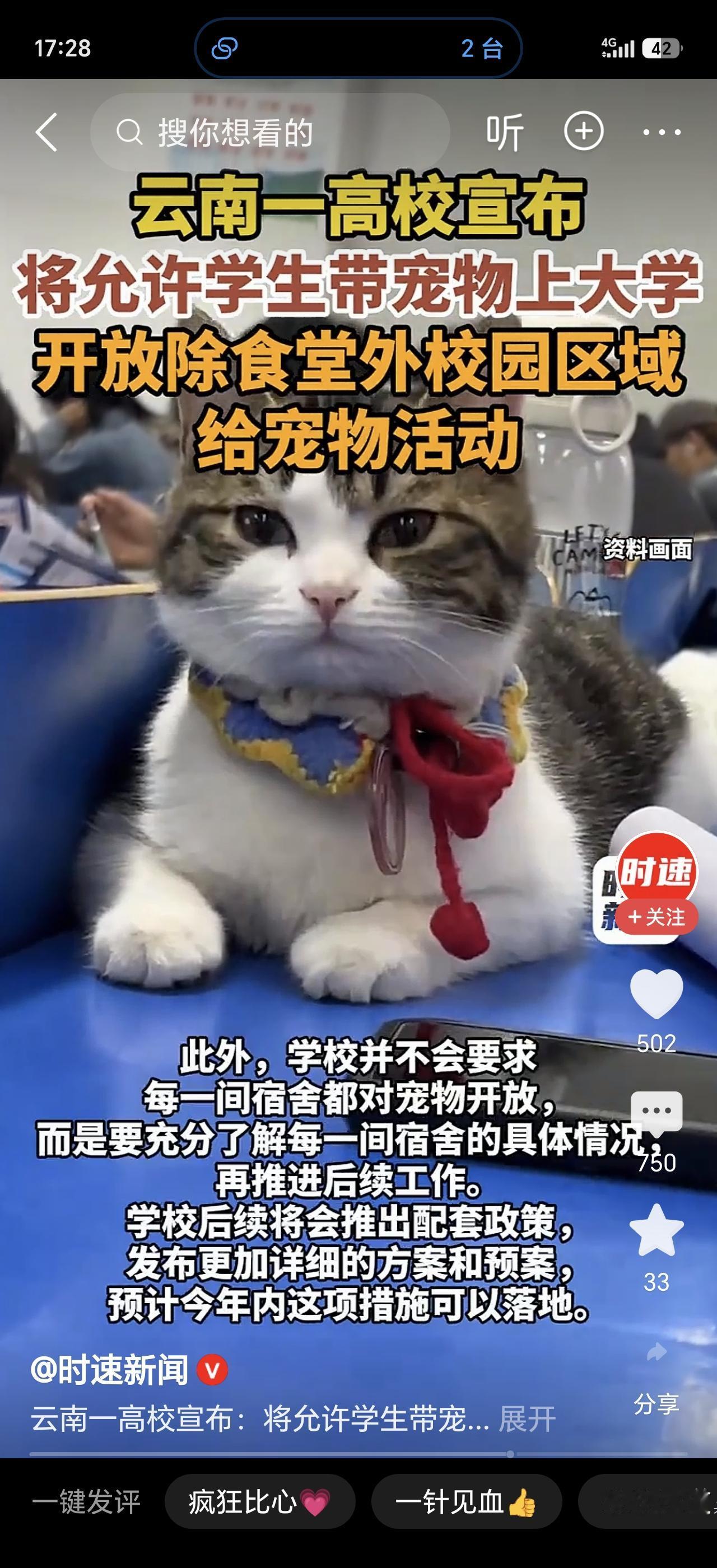 谁说上大学不能带宠物？昆明城市学院刚刚官宣：学生可以带猫狗来上学了！逐步开放宠物