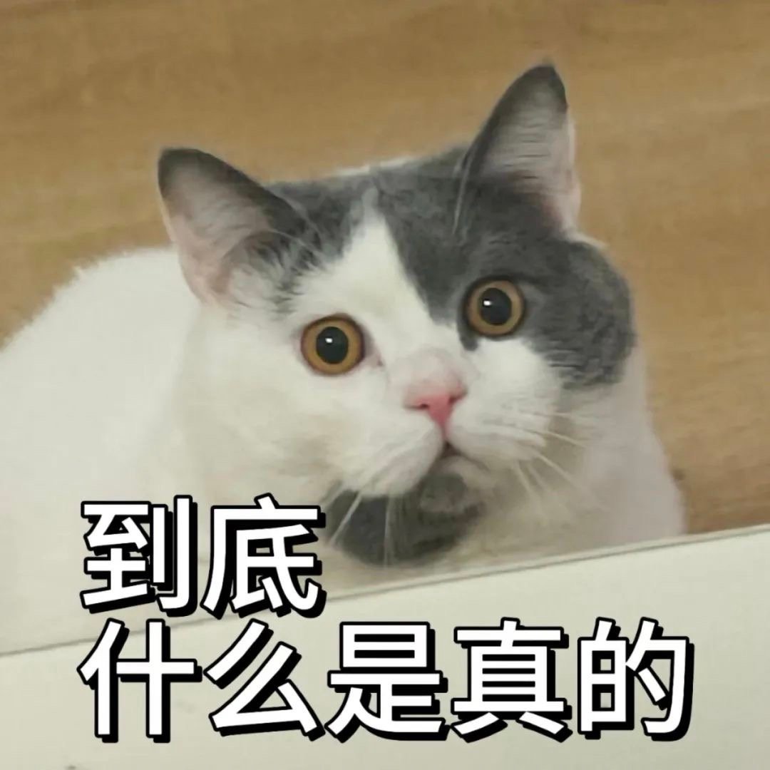🏝️ 𝒔𝒎𝒊𝒍𝒆 经历磨平年少志，时光凉我善良心。 ​​​