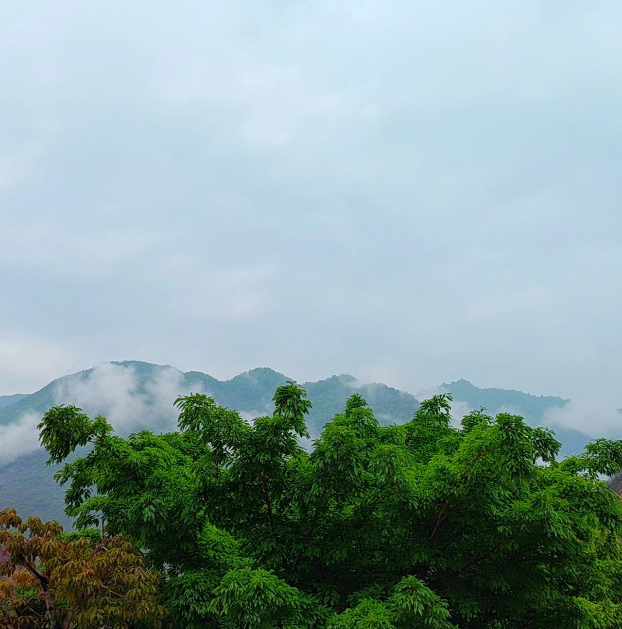 更重要的是，他们往往心态成熟，无论遭遇什么境遇，都能不忘初心、无畏前行。目光向肉