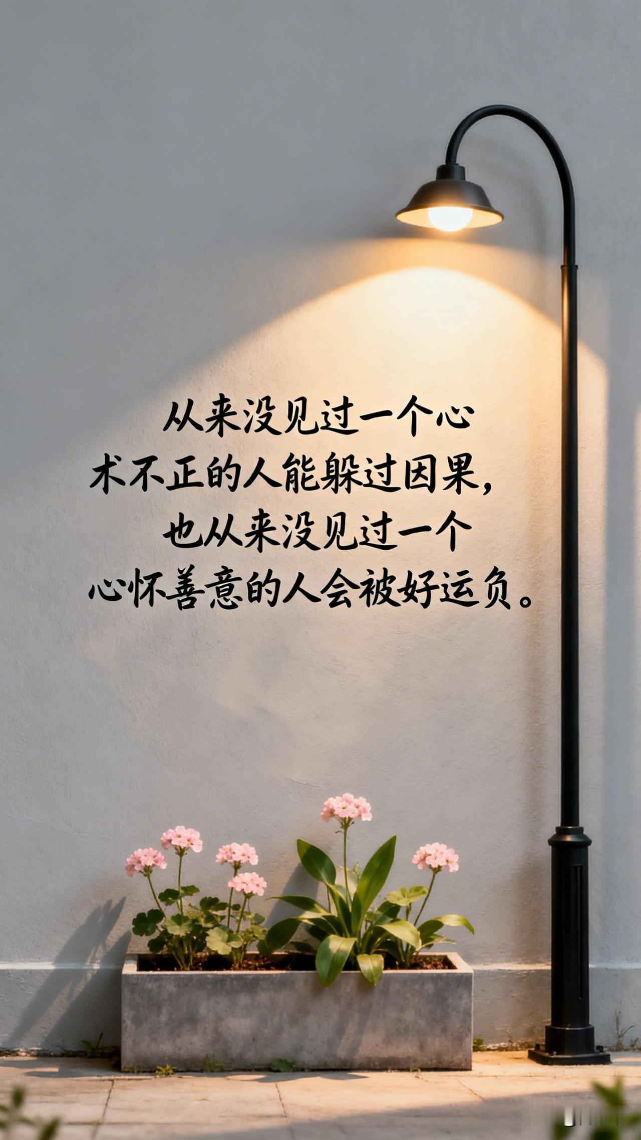 从来没见过一个心术不正的人能躲过因果，也从来没见过一个心怀善意的人被好运辜负。[
