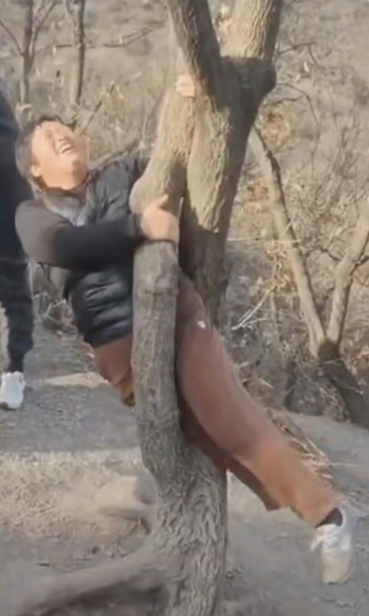 救命！胖胖的大姐卡在树洞里进退两难，这波操作真的又好笑又让人捏把汗[捂脸]
 