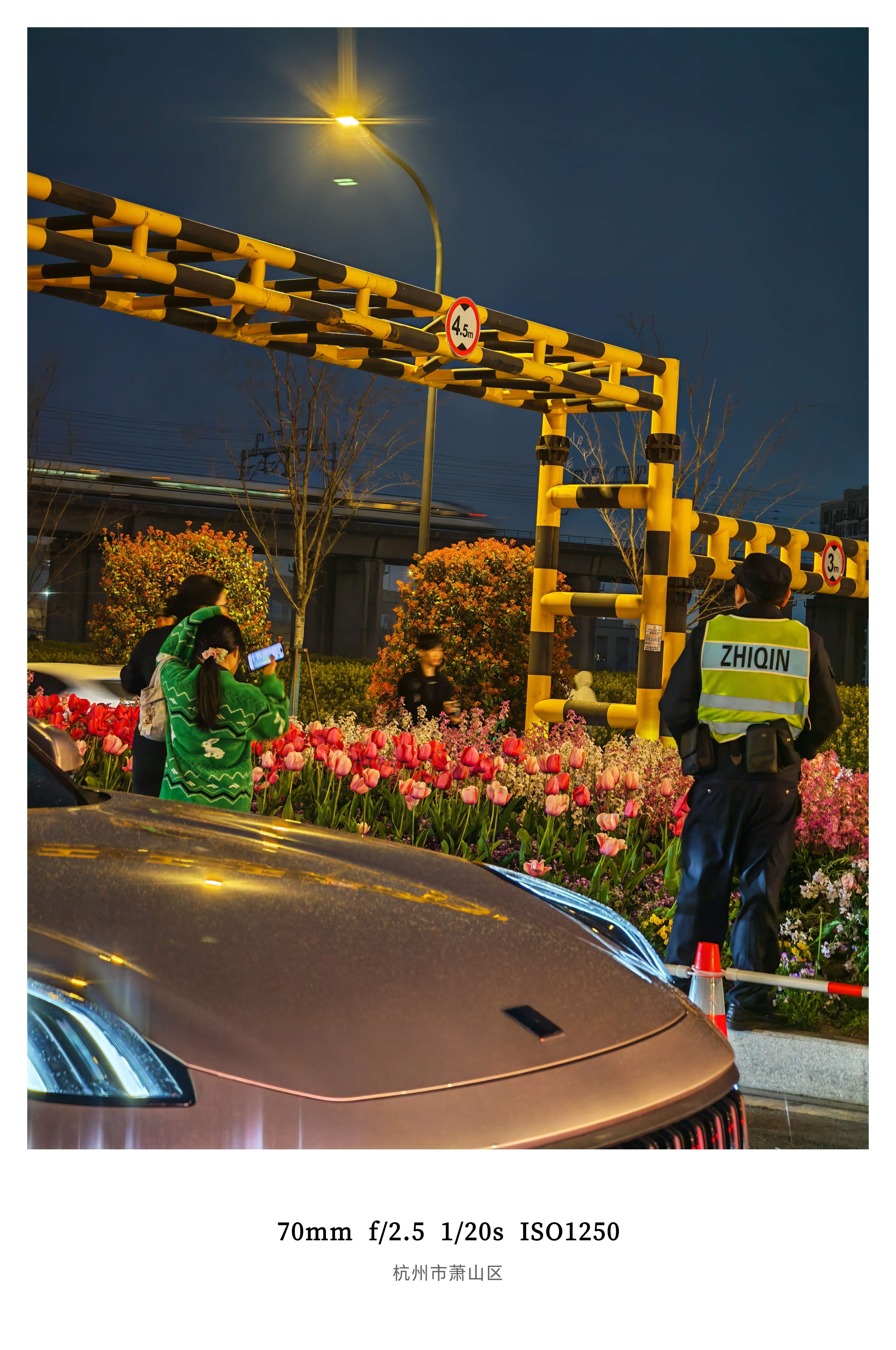 路过杭州最近超火的绿化带打卡点没想到市政还特地占用了一条车道通过围挡和现场专人负